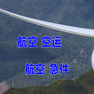 陇南成县机场托运快递-选东方航空和上海航空