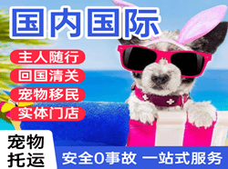 陇南成县机场托运国际宠物托运 【国